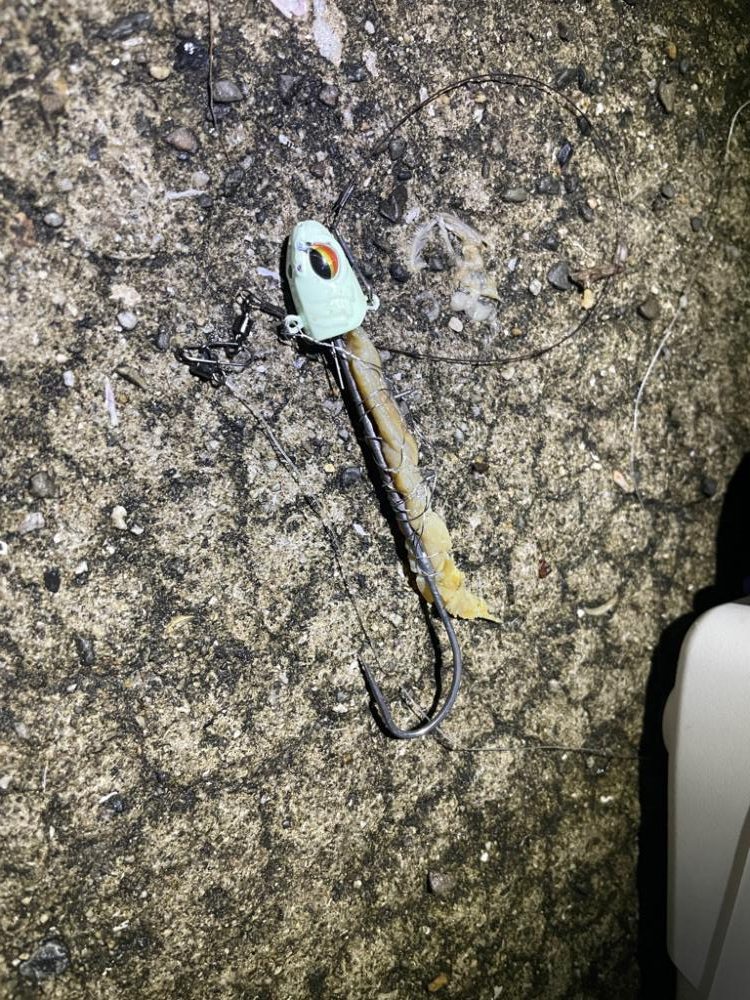 太刀魚狙いの釣り