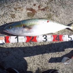 メジロ！2022ライトゲーム第31戦