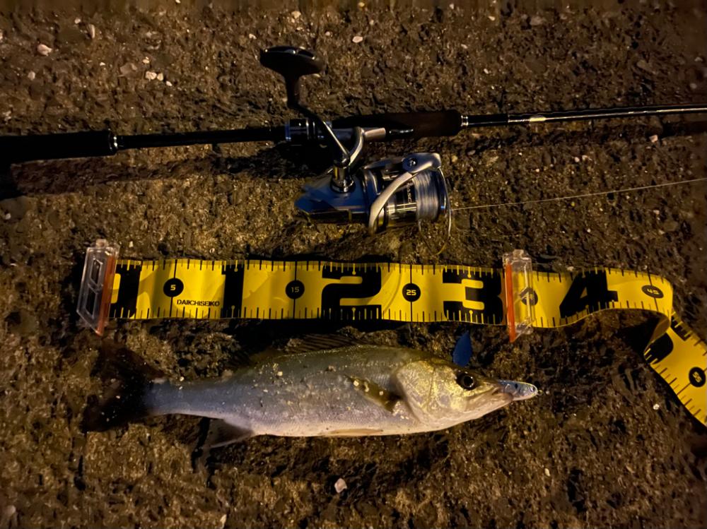 シャルダスしか勝たん！