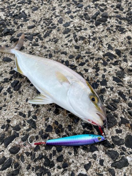 ライトショアジギング