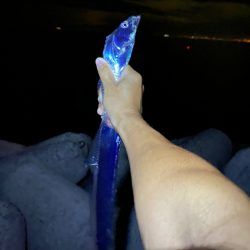 海なし県の人満足！