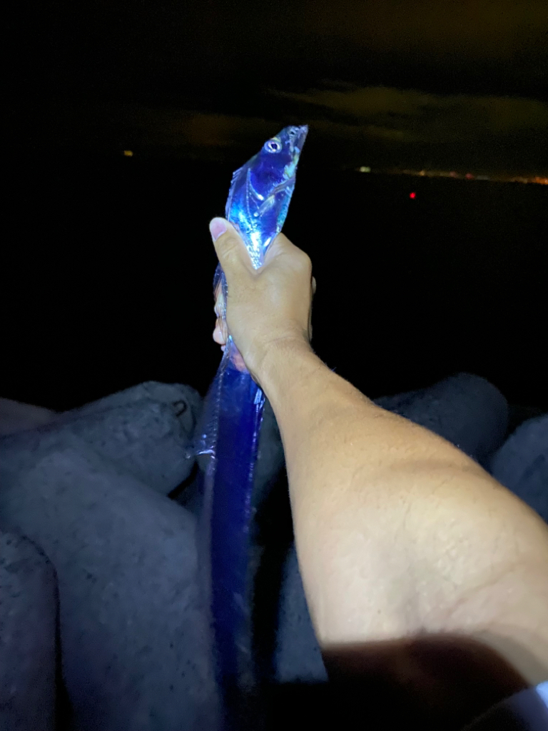 海なし県の人満足！