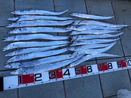 和歌山太刀魚釣りに🎣