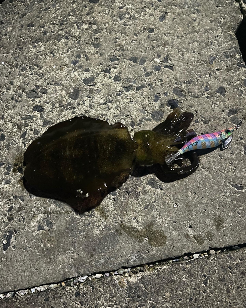 いつもの場所で