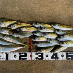 昨日の釣行結果からの答え合わせ