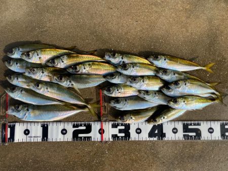 昨日の釣行結果からの答え合わせ