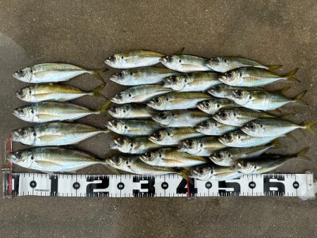 マズメチャレンジ