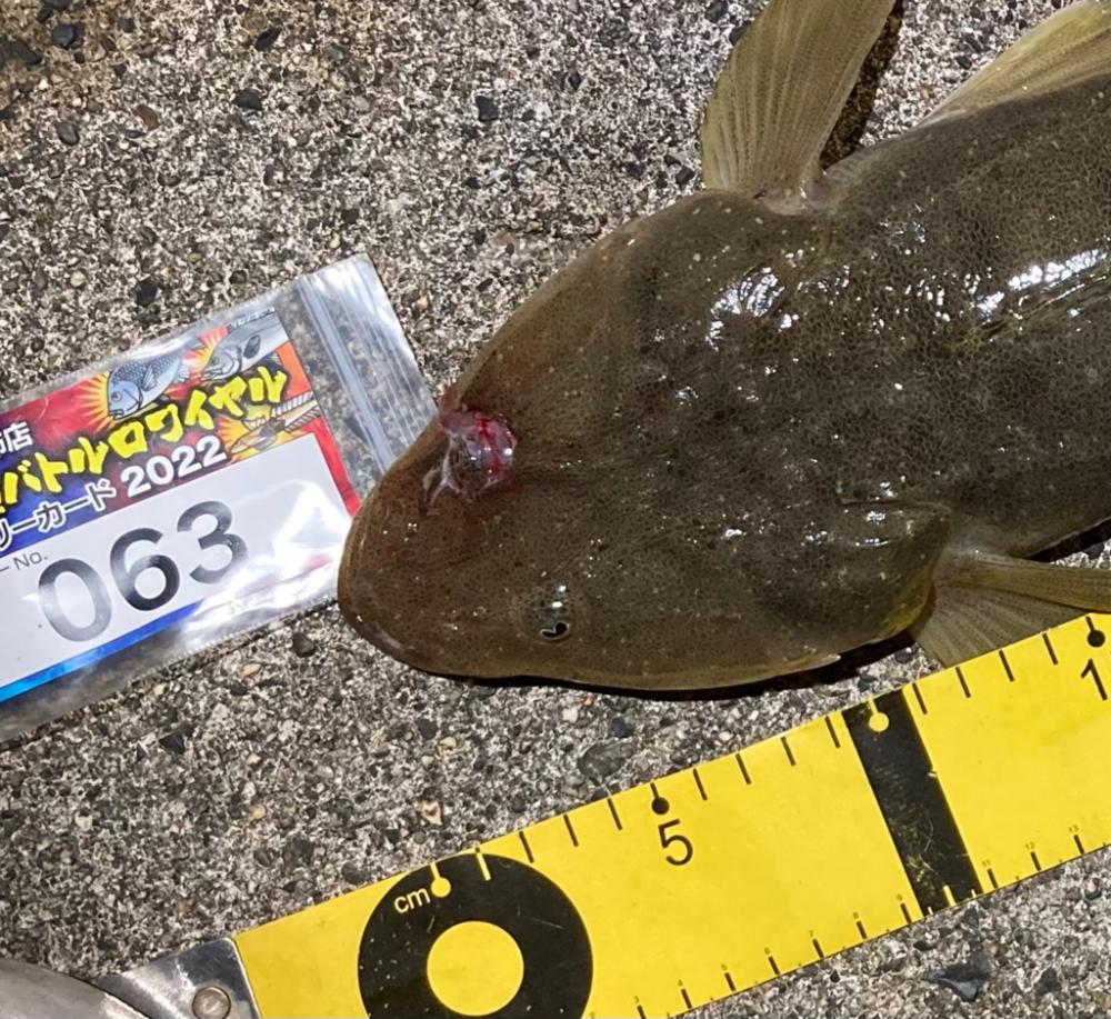 マゴチフィッシング