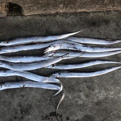 パワーシャッド凄え！