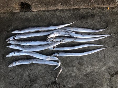 パワーシャッド凄え！