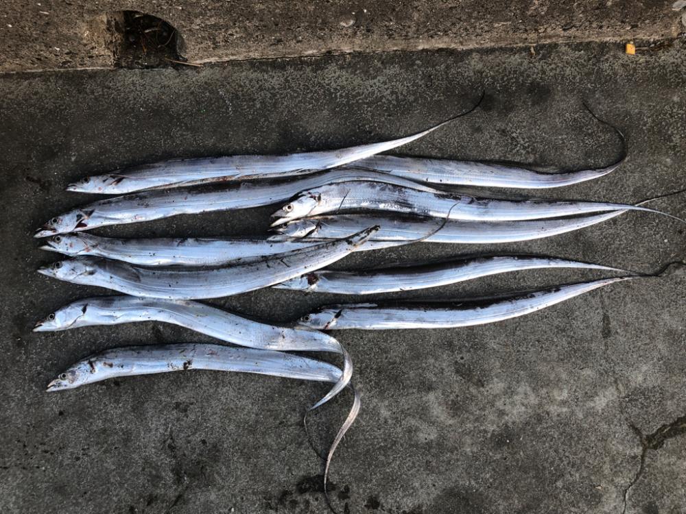 パワーシャッド凄え！