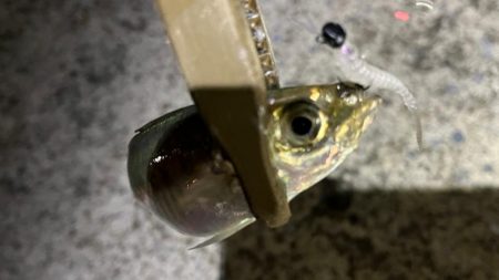 強風と表層直下