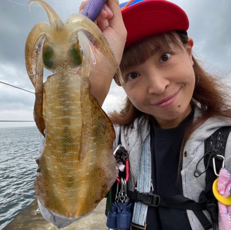 アオリイカエギング⋆*🦑