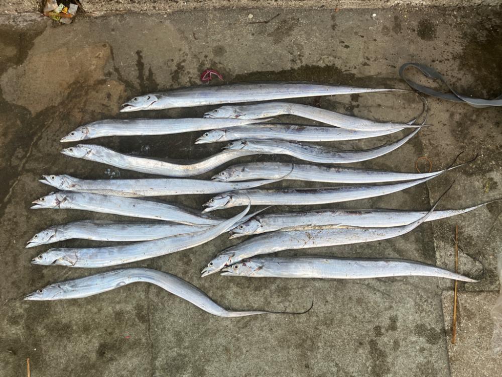 今日もパワーシャッドで…