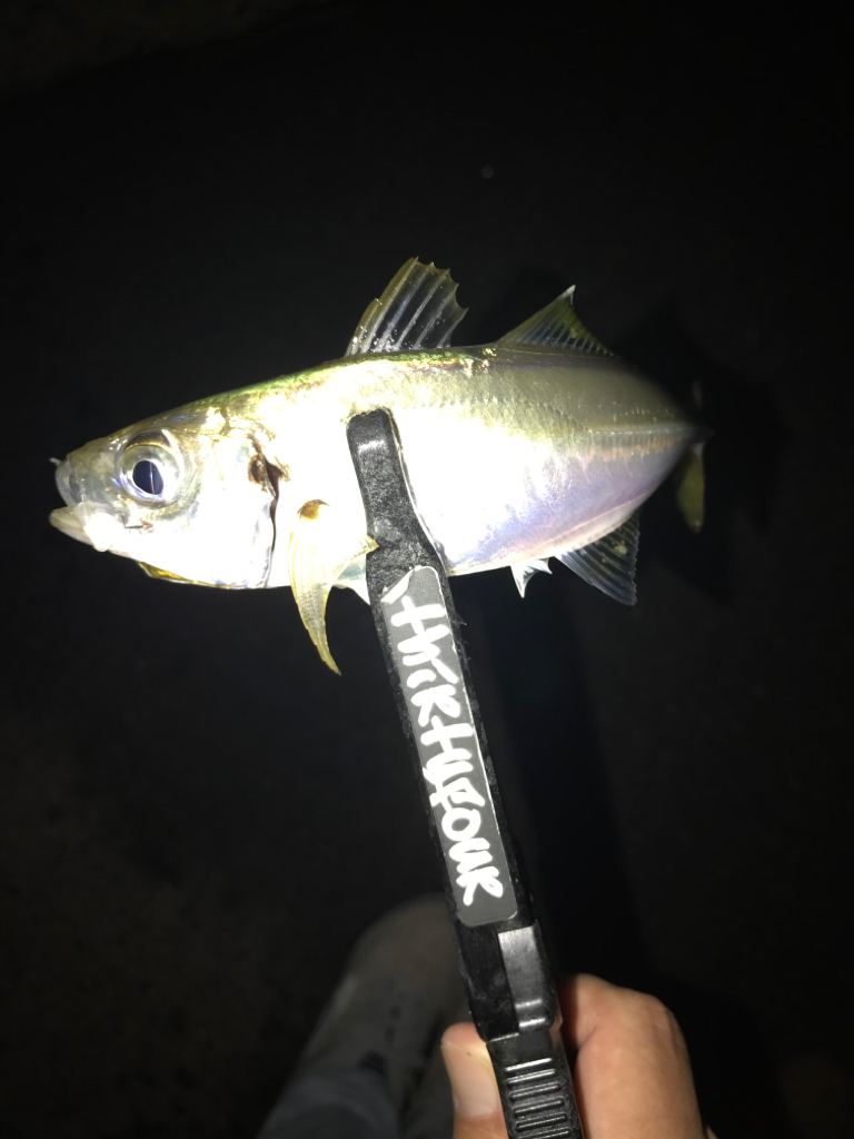 台風接近前夜💨