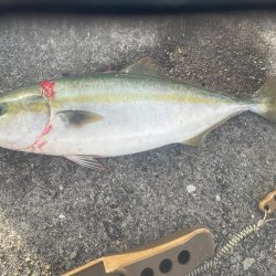 2022年ホーム初釣果②