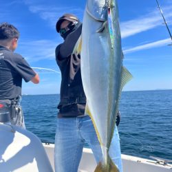 アオリイカティップラン&ジギング