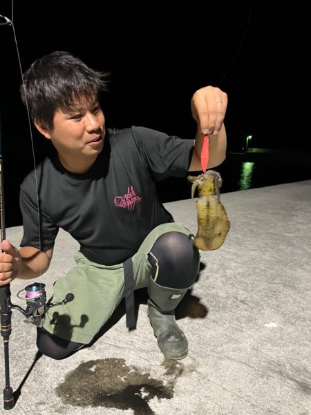 常夜灯場でのエギング！