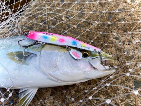 ジグよりもバイブ系の方がいいかもにゃ？