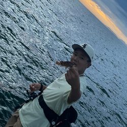 朝まずめ、エギング、穴釣り