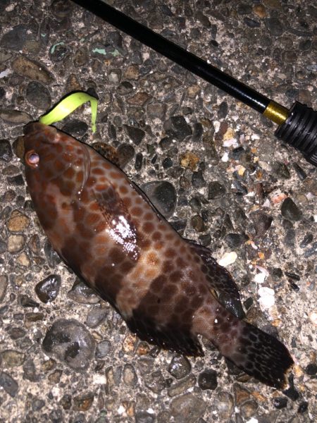 キワを攻めると…