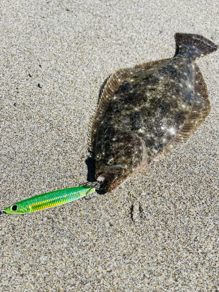 激渋のなかなんとか一本出せました😂