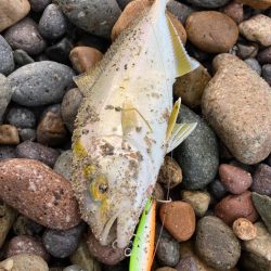 秋の夕涼み釣行