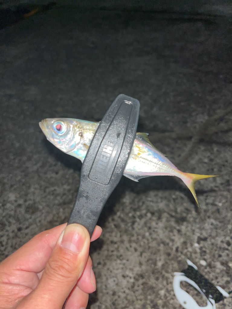 オールナイトアジング