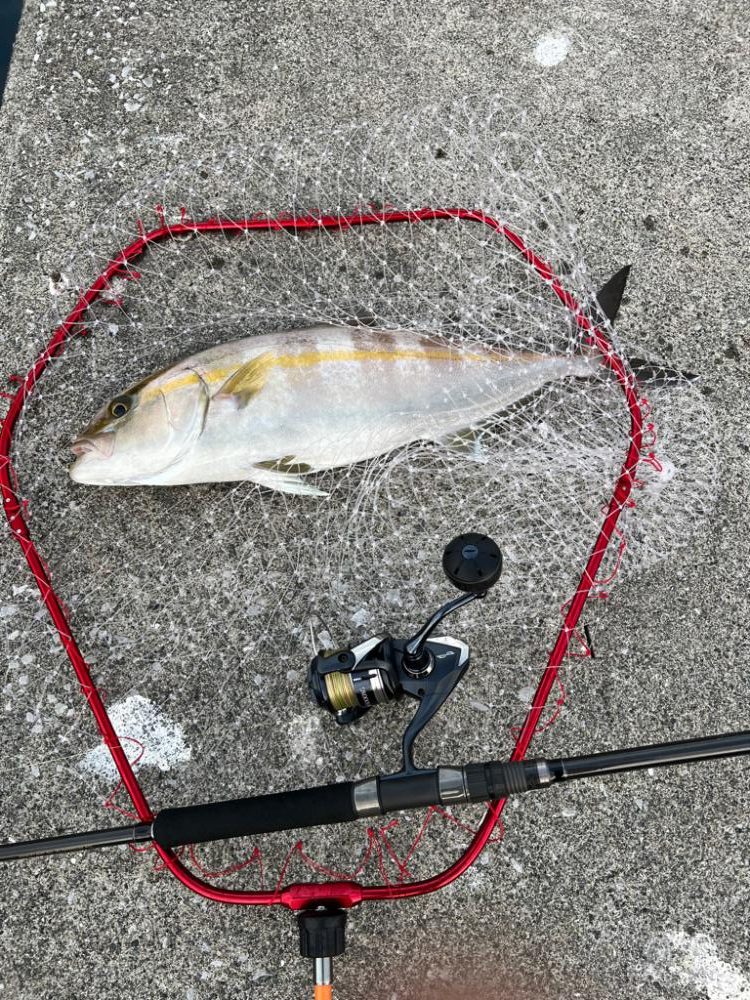 ショアジギング