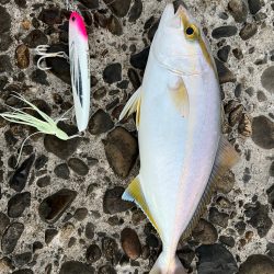 三年〜B組〜！カンパチ先生〜！