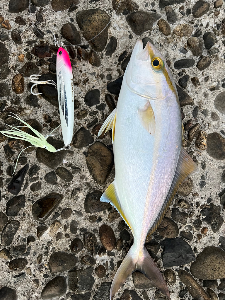 三年〜B組〜！カンパチ先生〜！