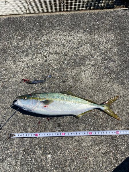 ブリクラスバレた…