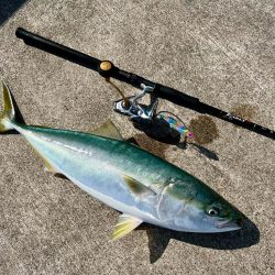 久しぶりのショアジギ