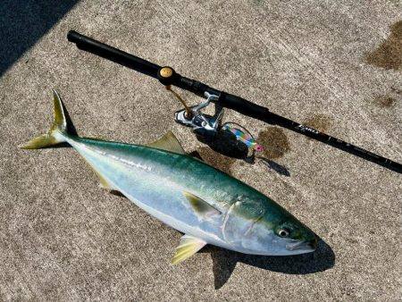 久しぶりのショアジギ