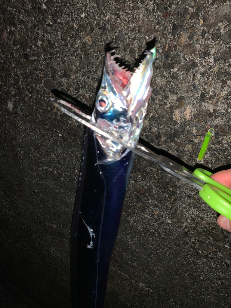 自分だけ渋い状況でした…