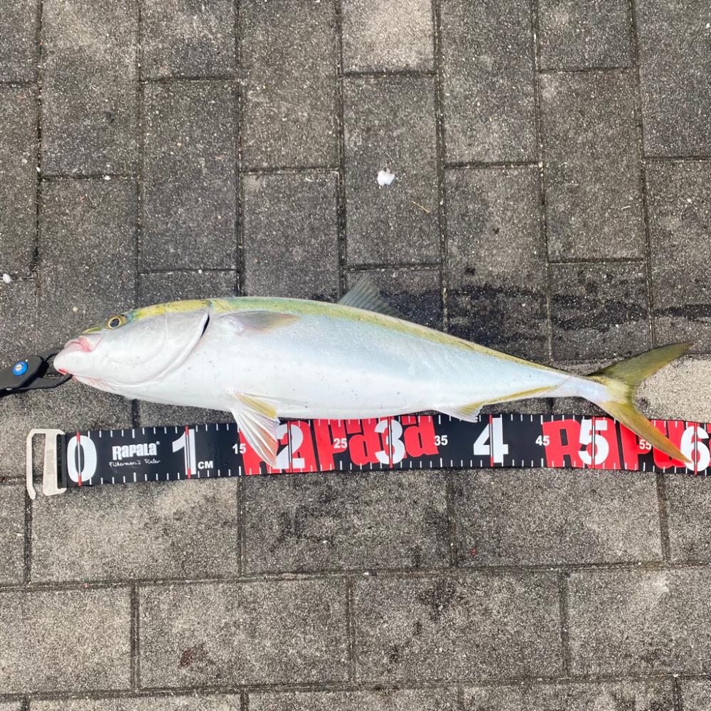 現地6時インにも光が…