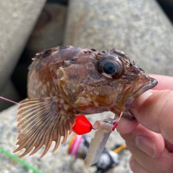 時間潰しに穴釣り