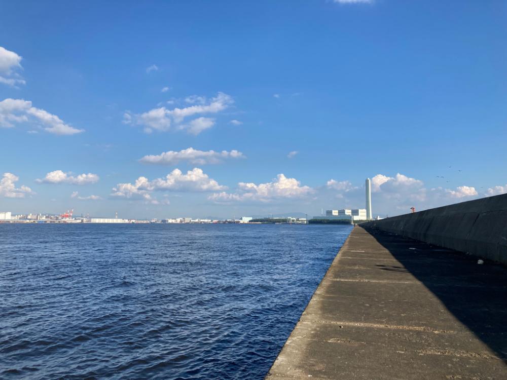 ライトワインド最高です！