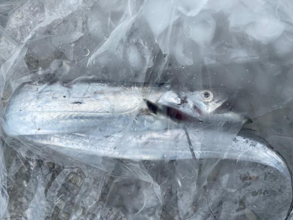 2022年　　ホーム初釣果‼️　①