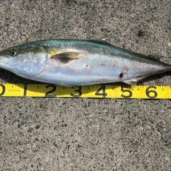 忍耐が報われました