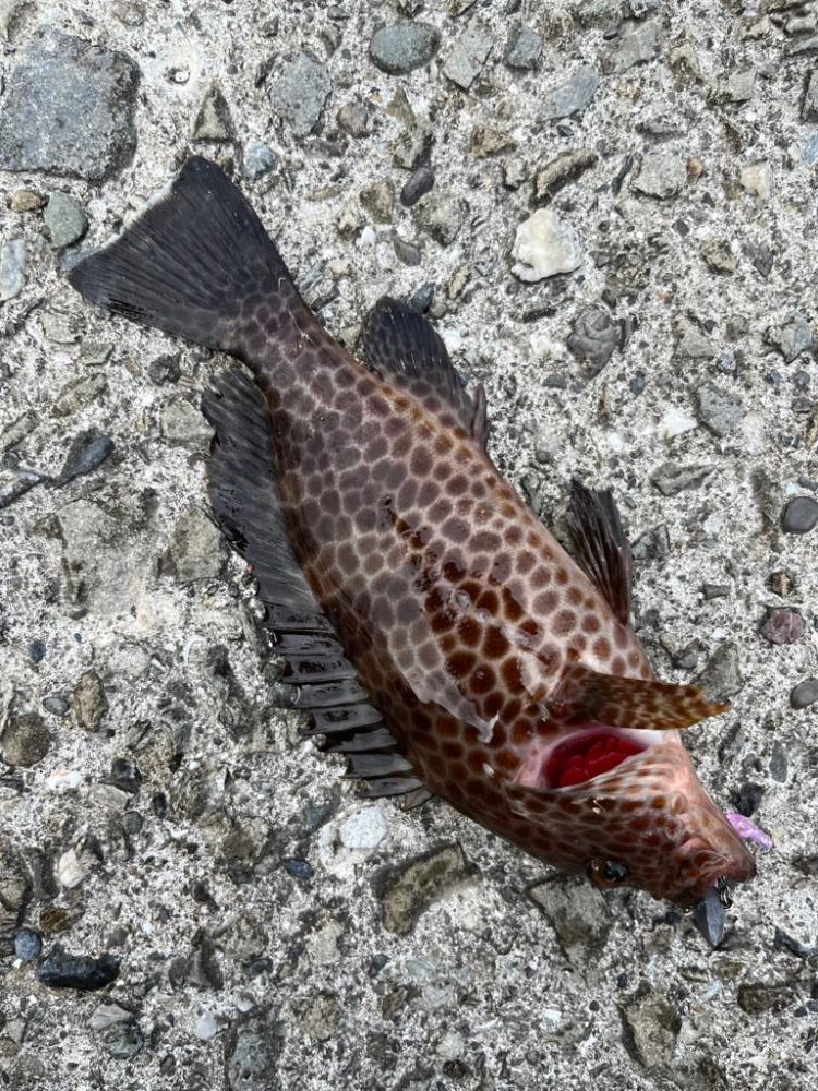 超スキマ時間ライトゲーム