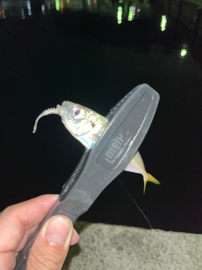 タイムアタック