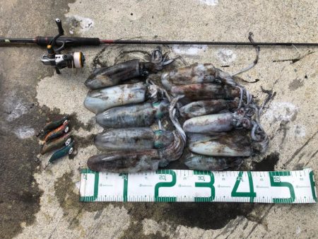 2022 佐渡ヶ島エギング 17回目【9月…