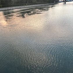 アジングの合間に