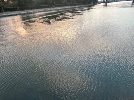 アジングの合間に