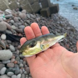 家族旅行中の釣行