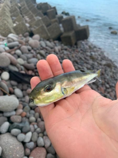 家族旅行中の釣行