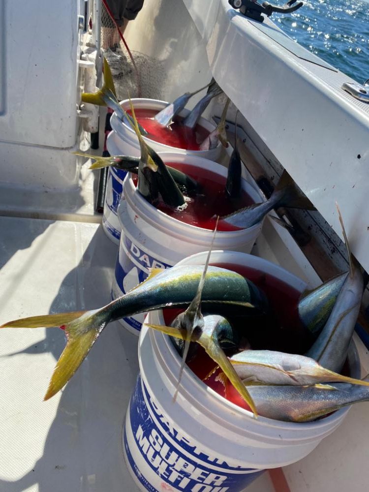 明石激流ジギング