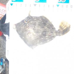 餌取りの犯人は？