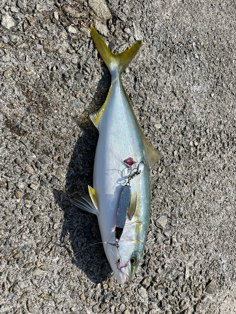 激戦区チャレンジ2